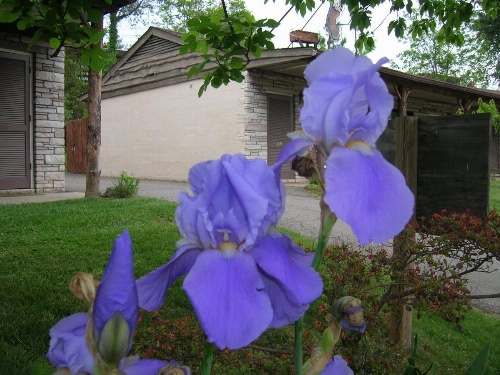 The Mountaineer Inn - Asheville image 15